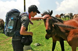 trekking and hiking in the balkan mountains, bulgaria