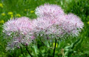 self-guided walking and hiking tours in the rila mountains, bulgaria