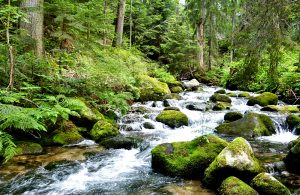 self-guided trekking tours in rila mountains, bulgaria