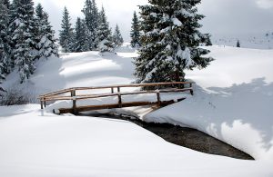 snowshoeing tours in vitosha mountains, bulgaria