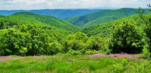 strandzha mountains hiking tours, bulgaria