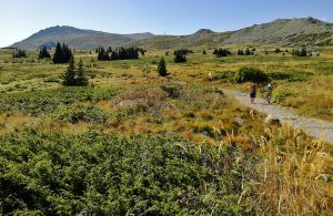 vitosha-trekking-and-walking-tours,-bulgaria
