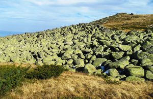 walking trips to vitosha mountains